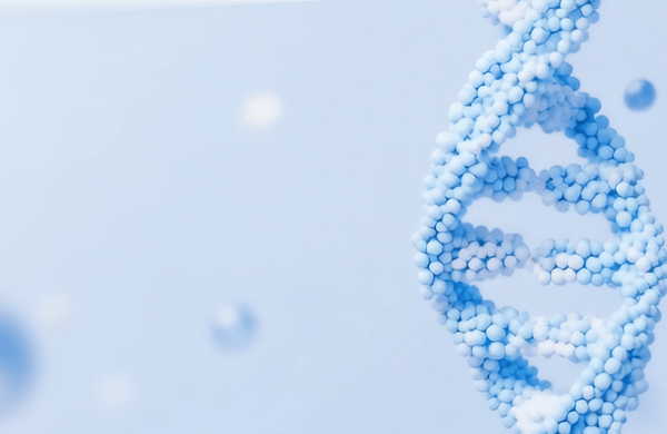 Иллюстрация: Полный экзом