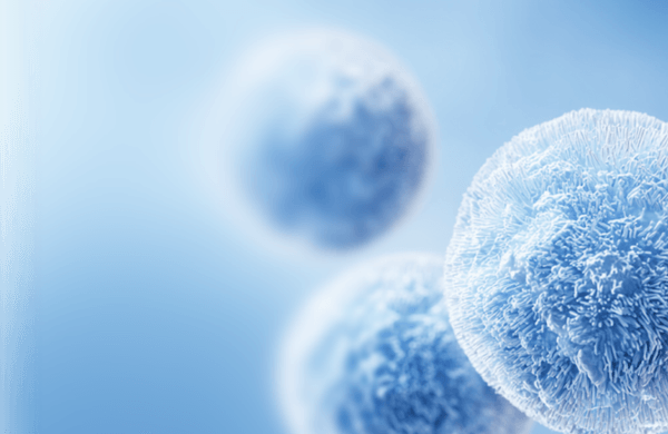 Иллюстрация: Анализ микробиоты